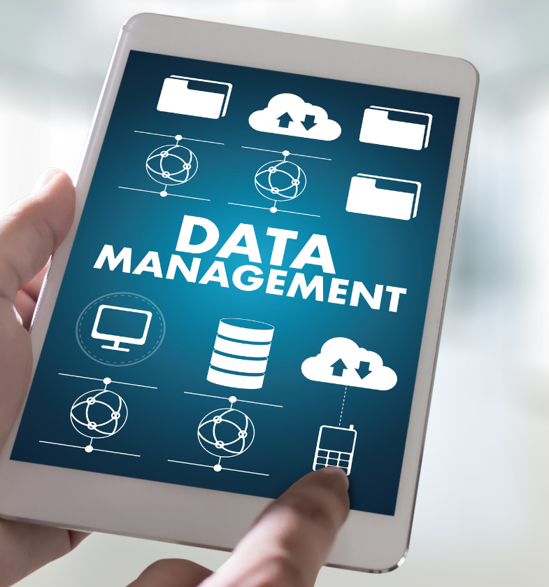 sap master data management 1